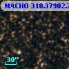 MACHO 310.37902.250
