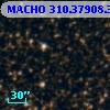 MACHO 310.37908.331