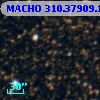 MACHO 310.37909.1369