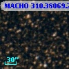 MACHO 310.38069.288