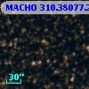 MACHO 310.38077.296