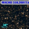 MACHO 310.38077.630