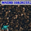 MACHO 310.38237.245