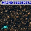 MACHO 310.38237.739