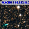 MACHO 310.38241.262