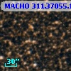 MACHO 311.37055.1511