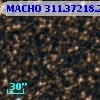 MACHO 311.37218.256
