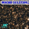 MACHO 311.37386.258