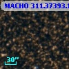 MACHO 311.37393.180