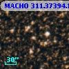 MACHO 311.37394.184