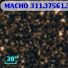 MACHO 311.37561.332