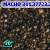 MACHO 311.37723.235