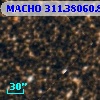 MACHO 311.38060.888