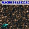 MACHO 311.38229.235