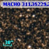 MACHO 311.38229.250