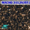 MACHO 311.38397.103