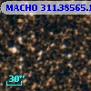 MACHO 311.38565.178