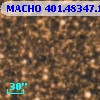 MACHO 401.48347.1481