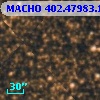 MACHO 402.47983.1308