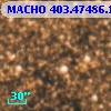 MACHO 403.47486.1208