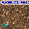 MACHO 403.47491.762