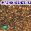 MACHO 403.47547.527
