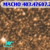 MACHO 403.47607.772