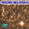 MACHO 403.47664.1041