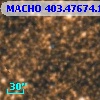 MACHO 403.47674.1388