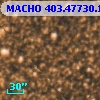 MACHO 403.47730.1421