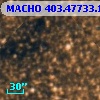 MACHO 403.47733.1731