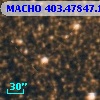 MACHO 403.47847.1238