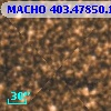 MACHO 403.47850.1381
