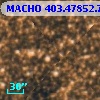 MACHO 403.47852.765