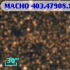MACHO 403.47908.1164