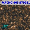 MACHO 403.47908.1242