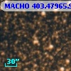 MACHO 403.47965.950