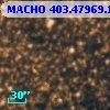 MACHO 403.47969.1042