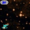 [BFT2007]   5