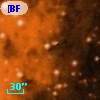 [BFT2007] 102