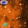 [BFT2007] 139