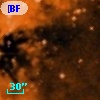 [BFT2007] 154