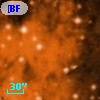 [BFT2007] 161