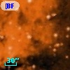 [BFT2007] 172