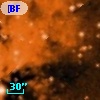 [BFT2007] 181