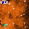 [BFT2007] 192