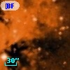 [BFT2007] 207