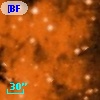 [BFT2007] 210