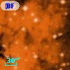 [BFT2007] 214