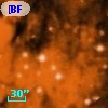 [BFT2007] 227